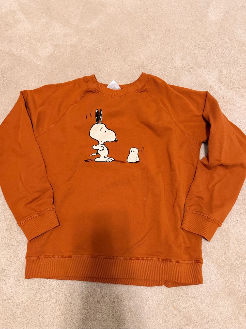 Snoopy Halloween Sweatshirt